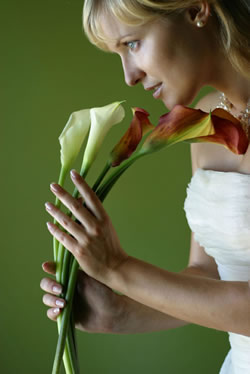 Nice Day for a ... Green Wedding.(environment... friendly weddings): An article from: E